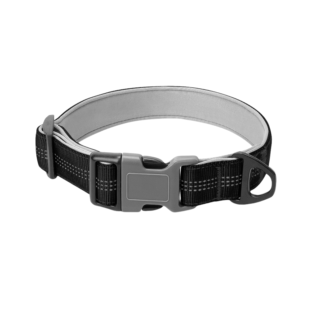 1 Inch Reflective Collared Dog for Outdoor Use - TaglyCharm