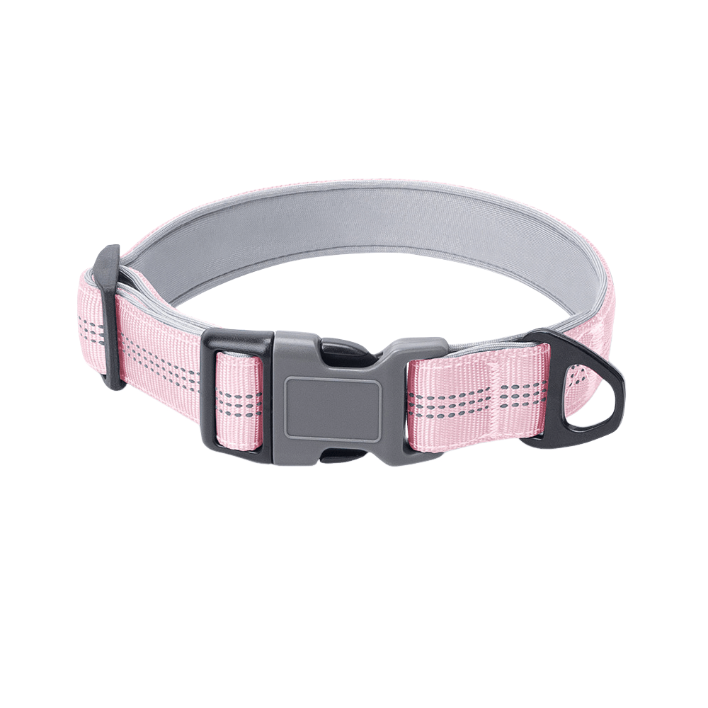 1 Inch Reflective Collared Dog for Outdoor Use - TaglyCharm