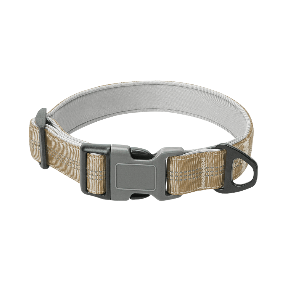 1 Inch Reflective Collared Dog for Outdoor Use - TaglyCharm