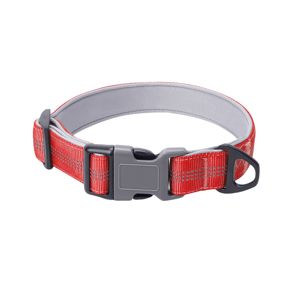 1 Inch Reflective Collared Dog for Outdoor Use - TaglyCharm