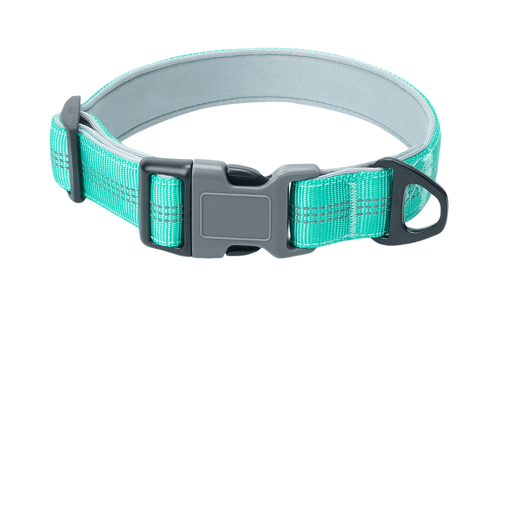 1 Inch Reflective Collared Dog for Outdoor Use - TaglyCharm