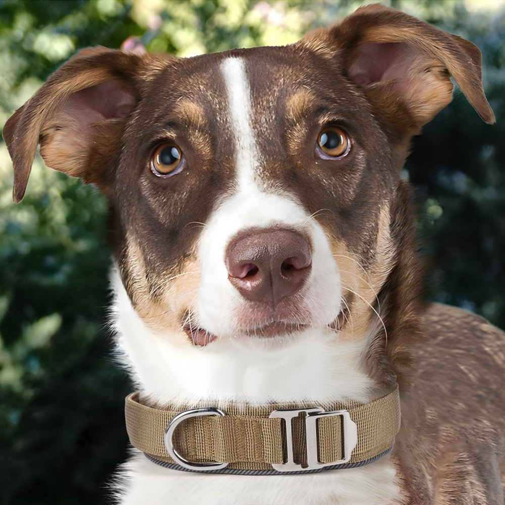 1.7 - inch Width IHeavy - Duty Tactical Dog Collar with Handle & Metal Buckle - TaglyCharm