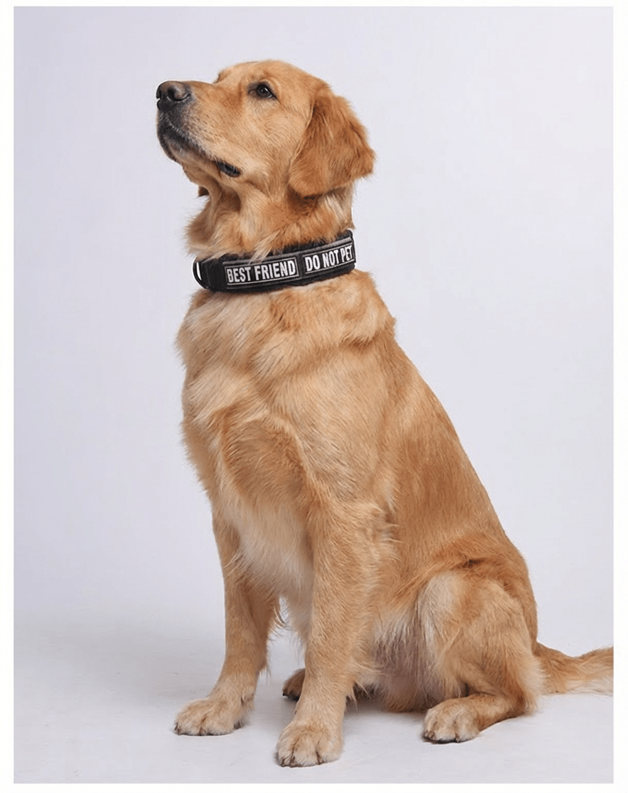 2 Inch Premium Heavy - Duty Tactical Dog Collar – Adjustable, Reflective, and Comfortable - TaglyCharm