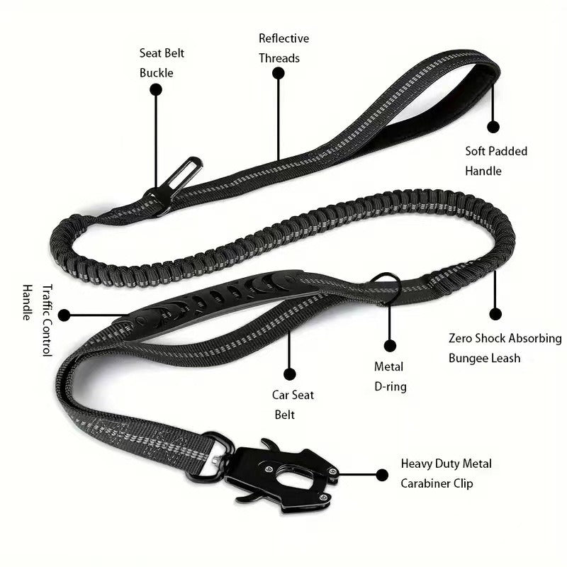Frog Buckle Retractable Dog Leash - TaglyCharm