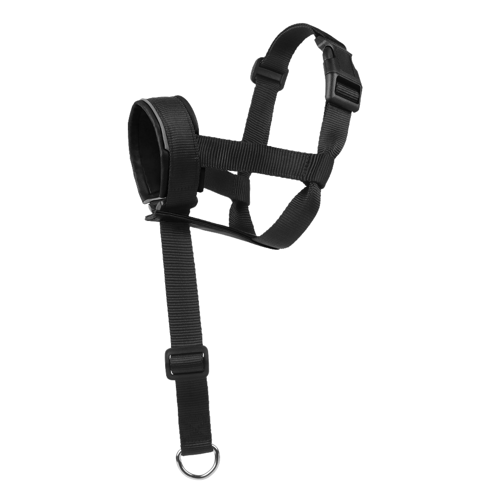 Leather Adjustable Mouth - TaglyCharm