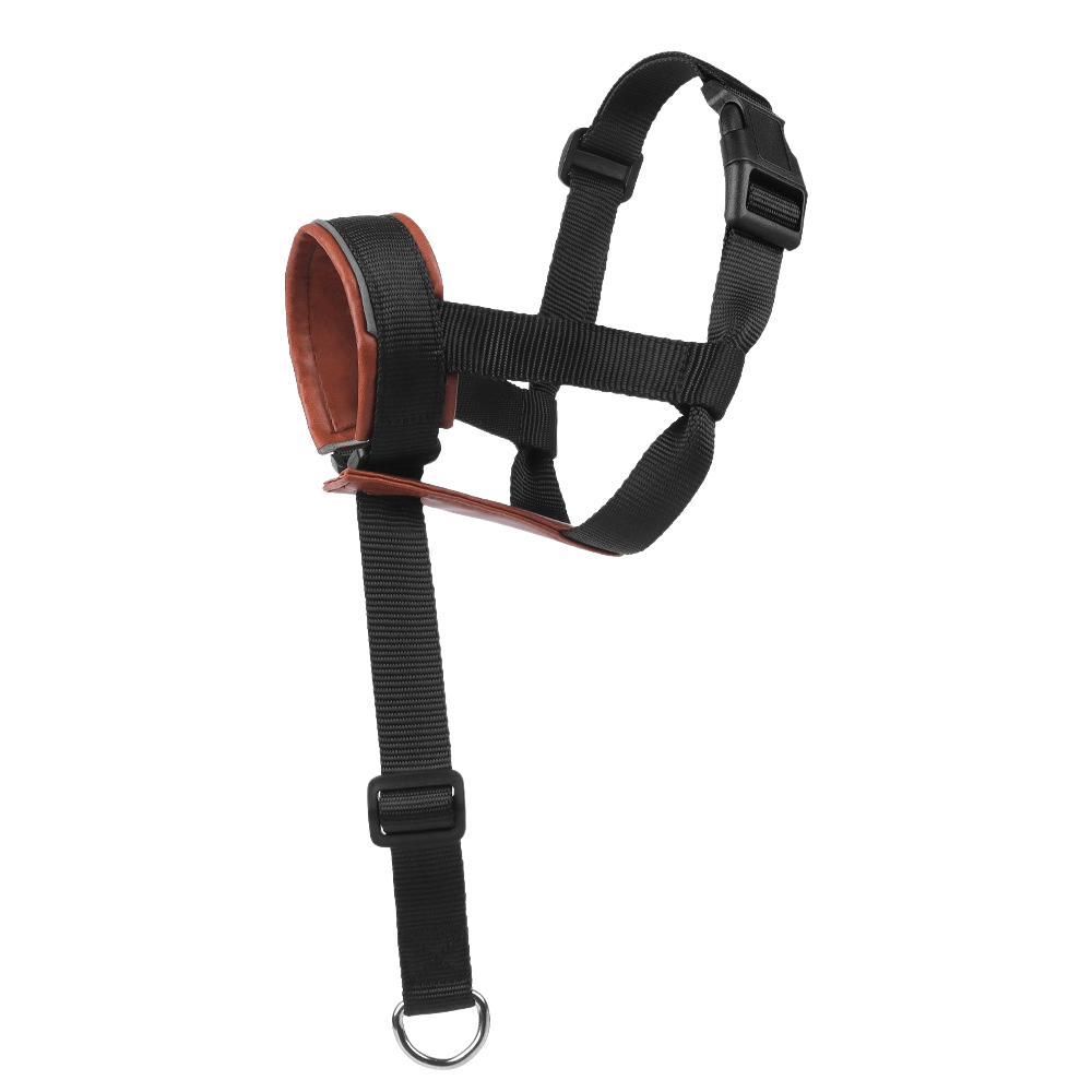 Leather Adjustable Mouth - TaglyCharm