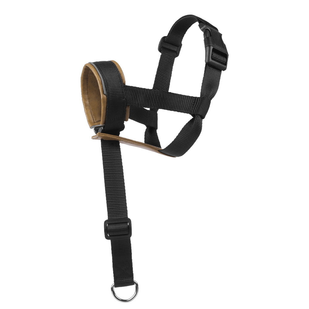 Leather Adjustable Mouth - TaglyCharm