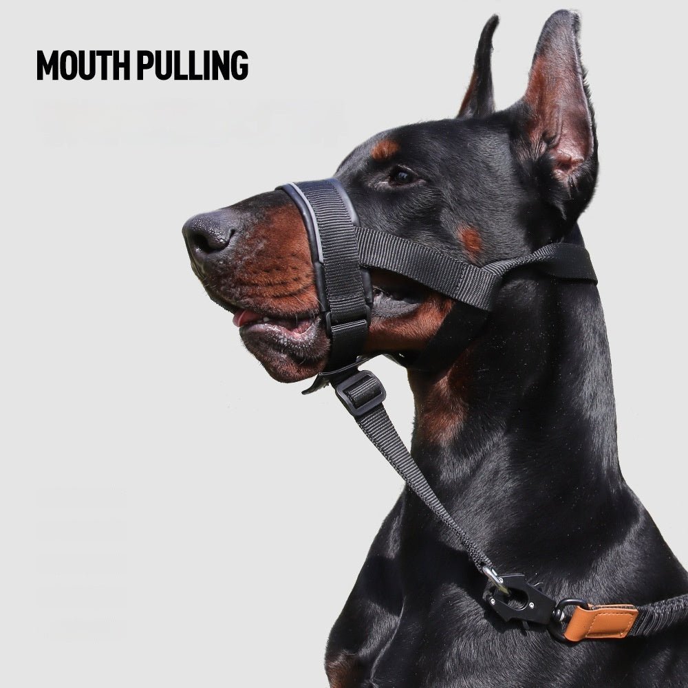 Leather Adjustable Mouth - TaglyCharm