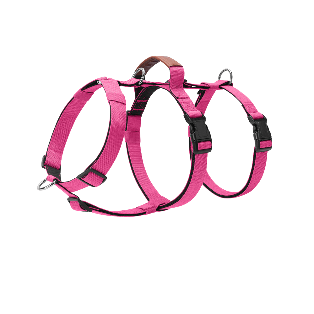 Premium Adjustable Dog Harness – Comfort, Control, and Durability - TaglyCharm