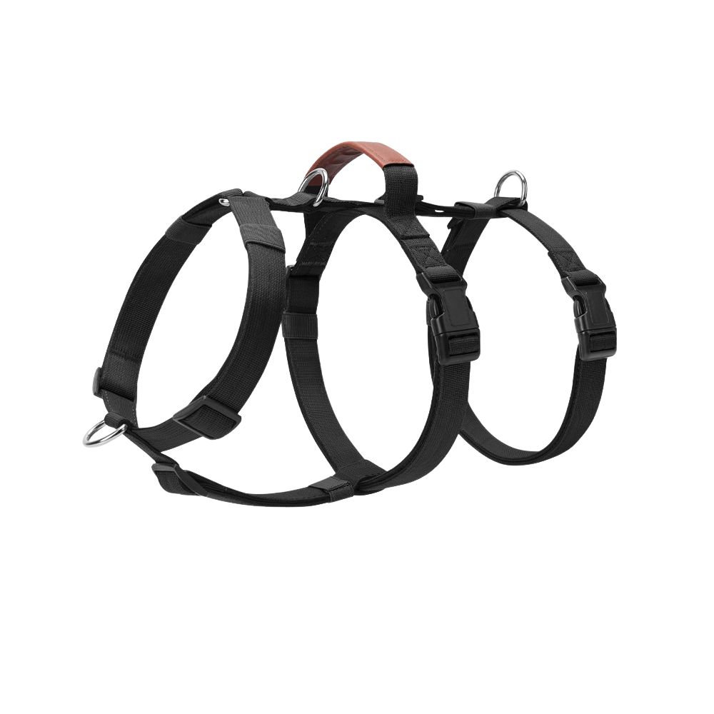 Premium Adjustable Dog Harness – Comfort, Control, and Durability - TaglyCharm
