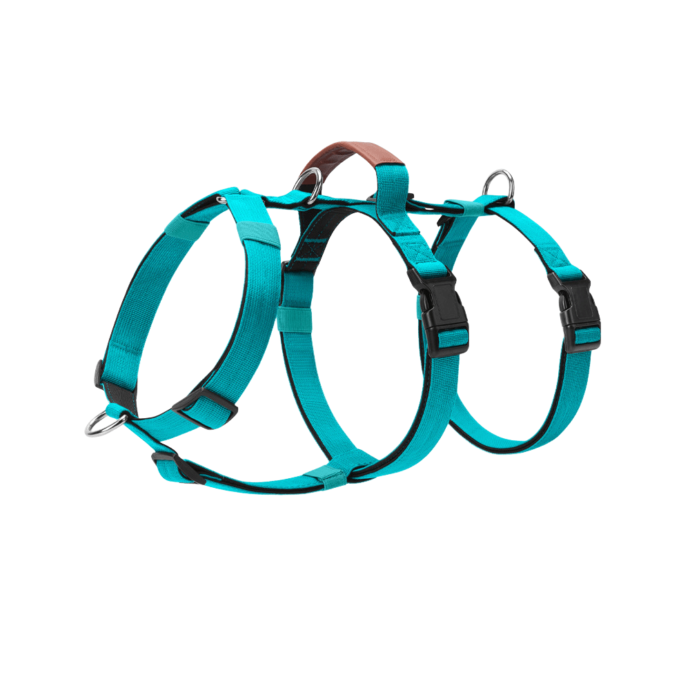 Premium Adjustable Dog Harness – Comfort, Control, and Durability - TaglyCharm