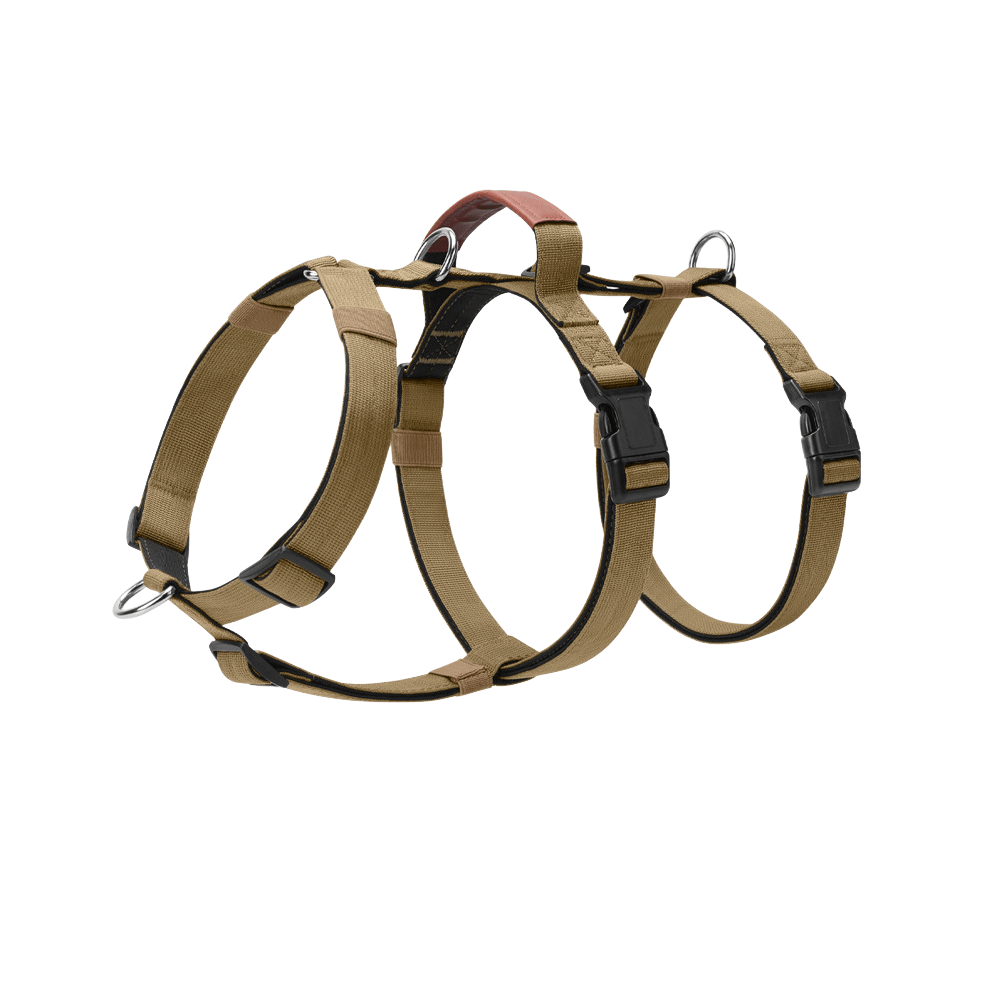 Premium Adjustable Dog Harness – Comfort, Control, and Durability - TaglyCharm