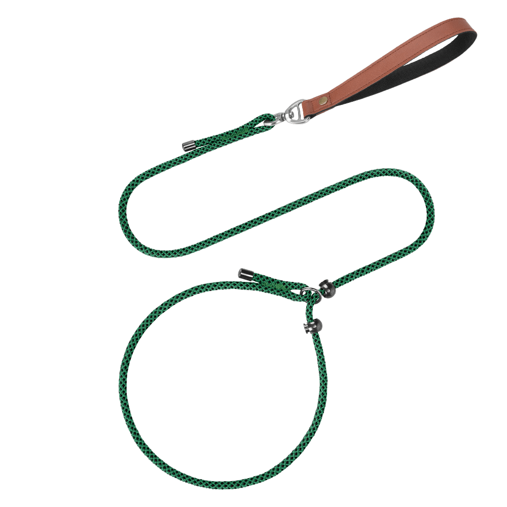 Premium Climbing Rope Dog Training Slip Lead with Anti - Choke Stopper - TaglyCharm