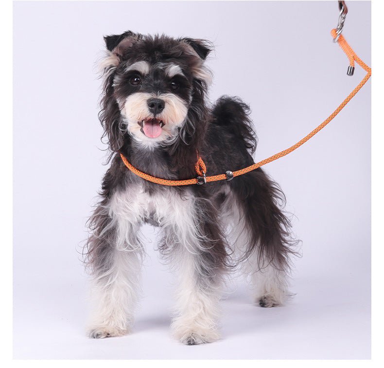 Premium Climbing Rope Dog Training Slip Lead with Anti - Choke Stopper - TaglyCharm