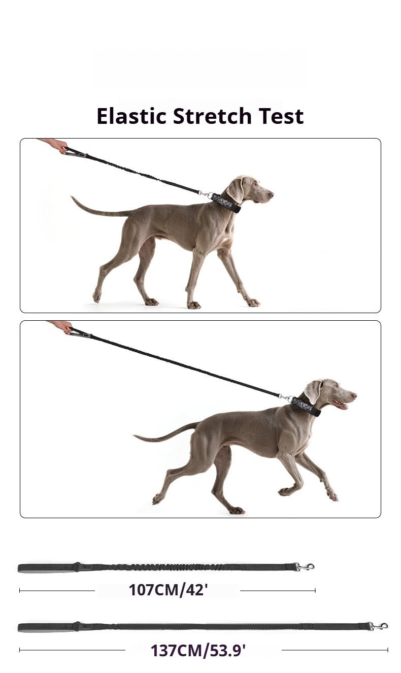 Professional Tactical Bungee Dog Leash (2 - in - 1) - TaglyCharm