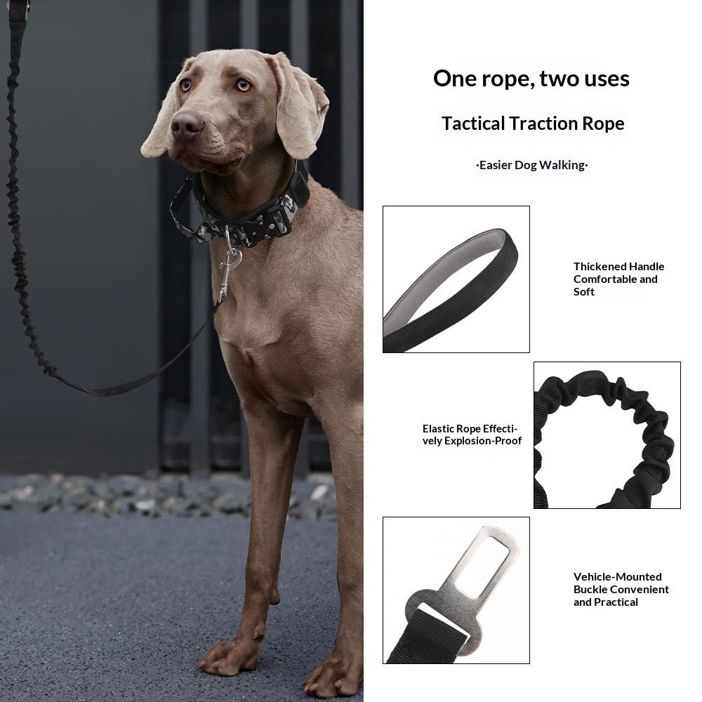 Professional Tactical Bungee Dog Leash (2 - in - 1) - TaglyCharm
