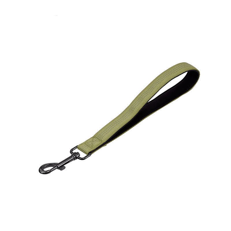 Short Leash for Walking Dogs To Prevent Punctures - TaglyCharm