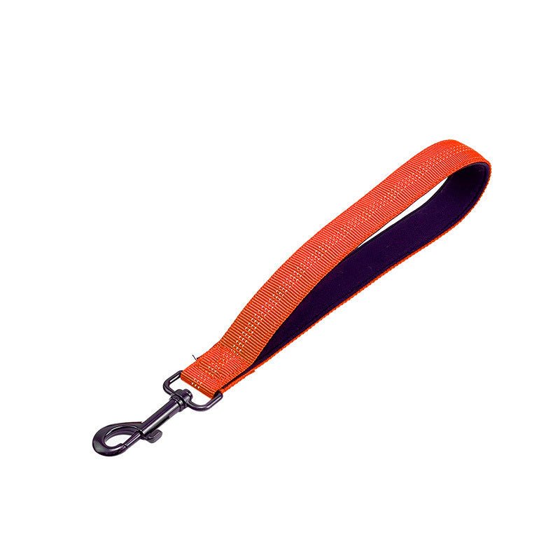 Short Leash for Walking Dogs To Prevent Punctures - TaglyCharm