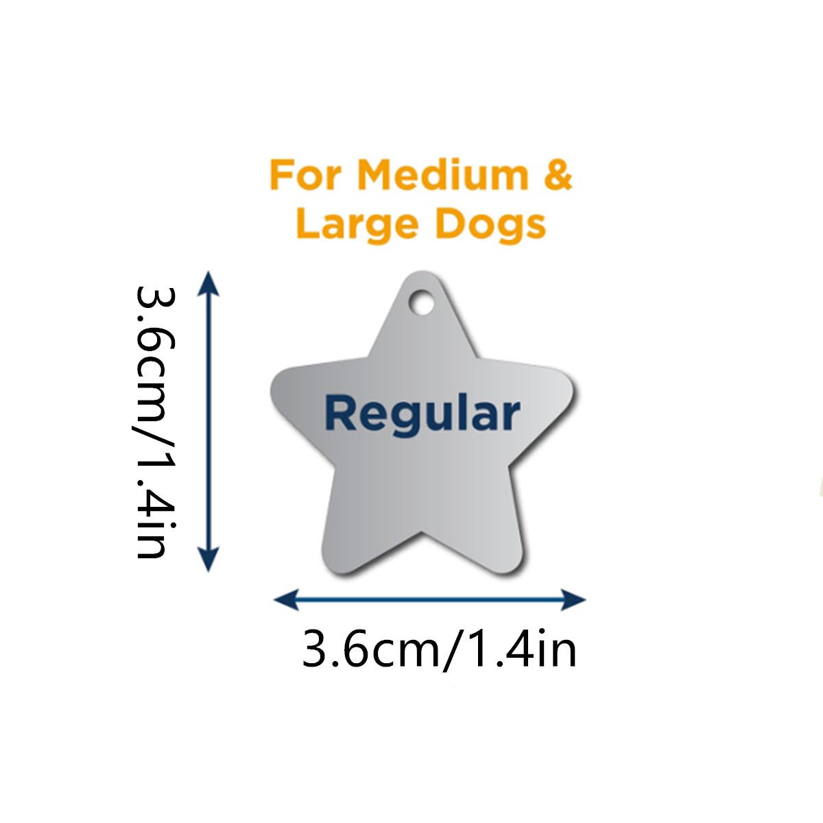 Silent & Secure: Personalized Slide - On Pet ID Tag (No Jingle) - TaglyCharm