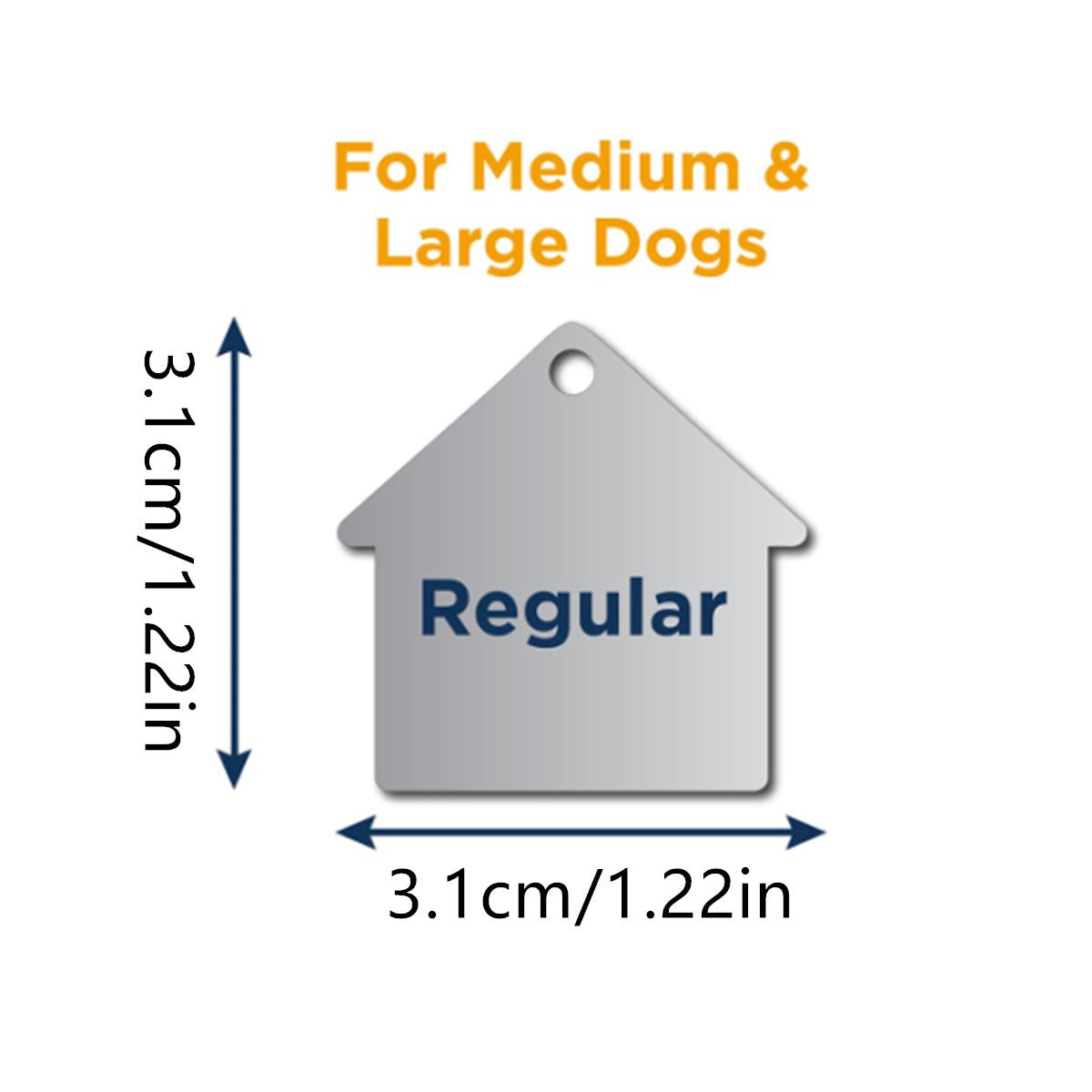 Silent & Secure: Personalized Slide - On Pet ID Tag (No Jingle) - TaglyCharm