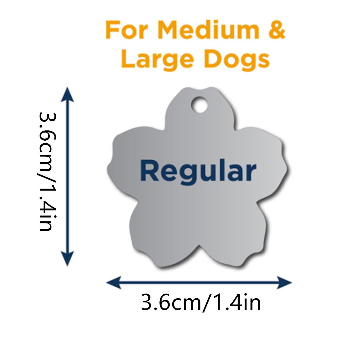 Silent & Secure: Personalized Slide - On Pet ID Tag (No Jingle) - TaglyCharm