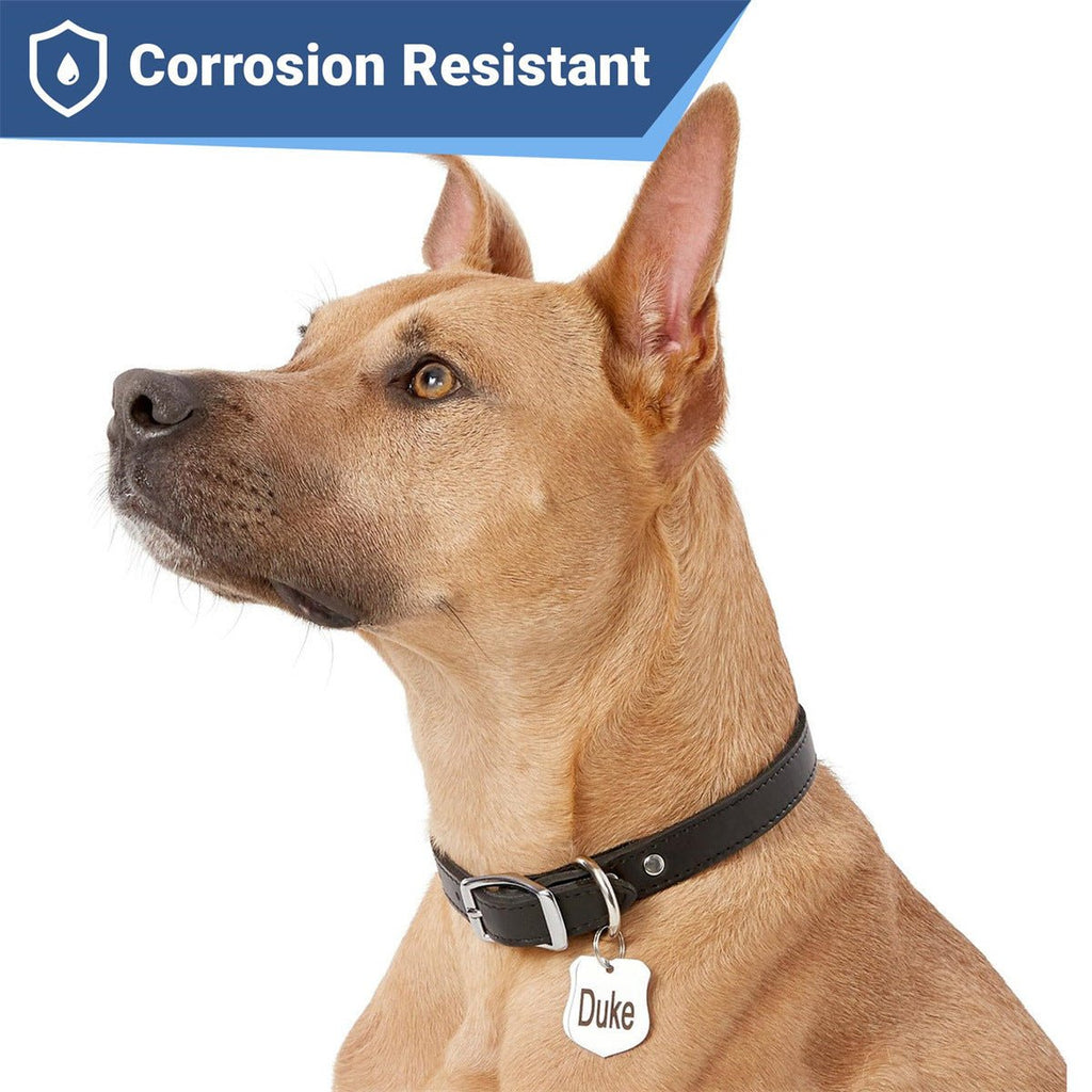 Silent & Secure: Personalized Slide - On Pet ID Tag (No Jingle) - TaglyCharm