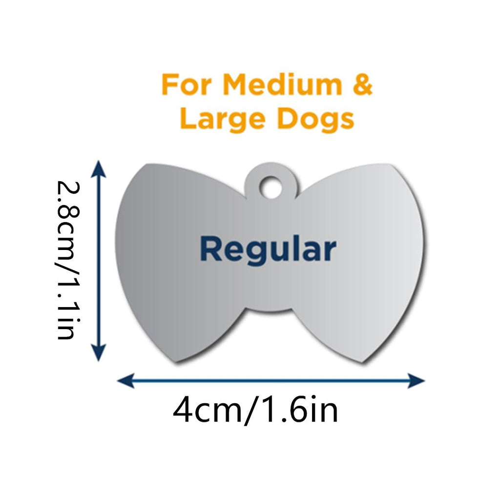 Silent & Secure: Personalized Slide - On Pet ID Tag (No Jingle) - TaglyCharm