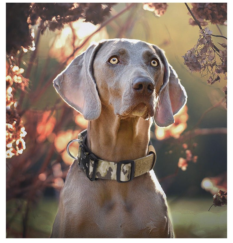 Stainless Steel Metal Buckle Buckle Anti - blast Tactical Collar with Grip - TaglyCharm